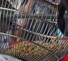 El premio mayor lo vendieron en la web comercial. (JPS)