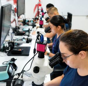 Los programas tienen una duración de entre dos y cuatro meses.