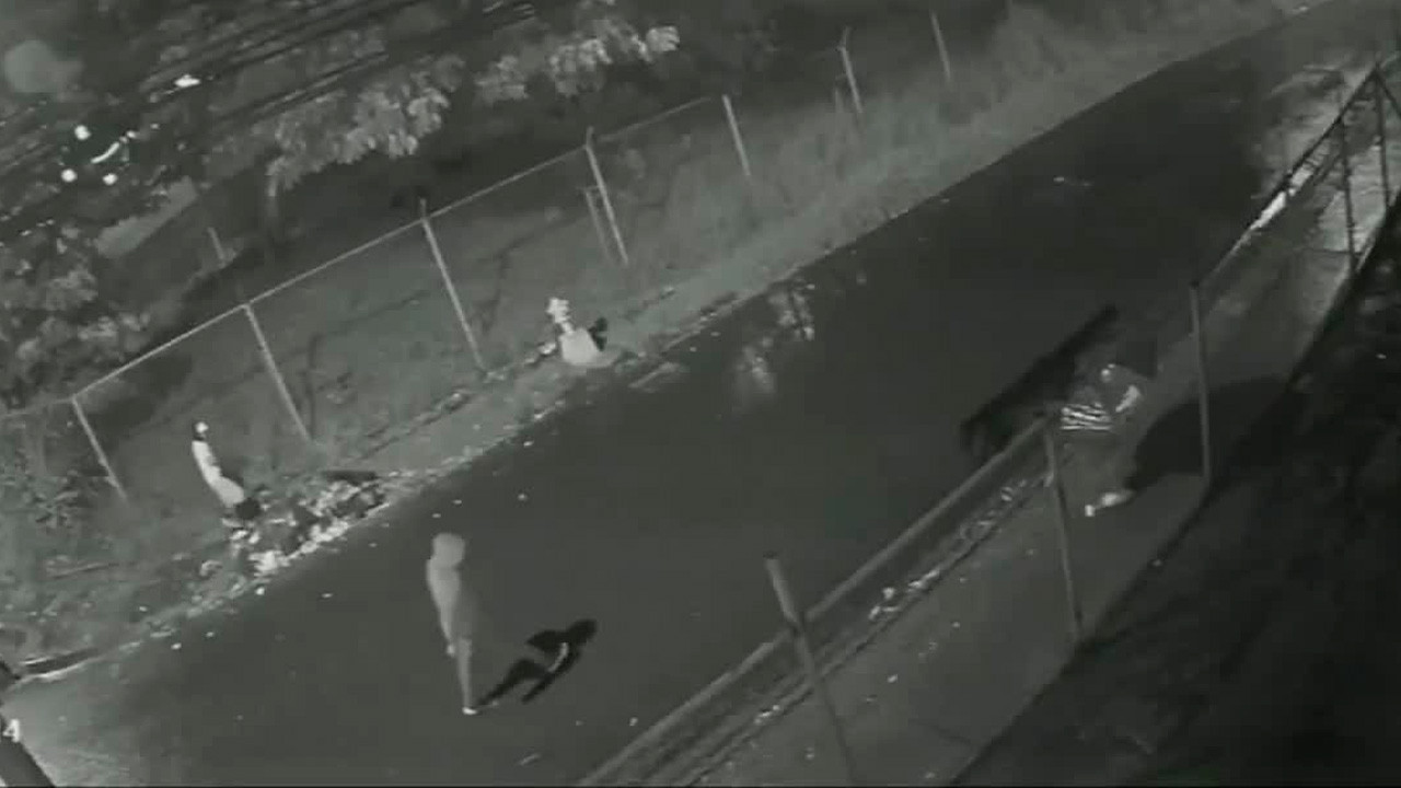 Captan en video el asalto a un menor en Bellavista de Purral