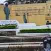 Cultura denuncia grafitis en monumentos durante protesta